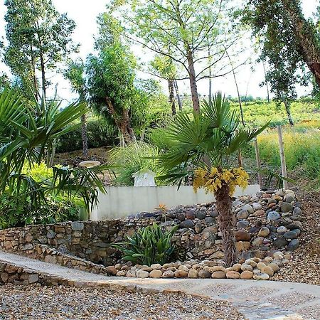 Oak Cottage Ferreira do Zêzere Exterior foto