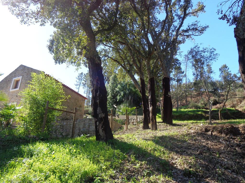 Oak Cottage Ferreira do Zêzere Exterior foto